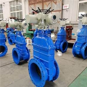 電動(dòng)閘閥Z941h -64 DN500（石化行業(yè)、煉油廠