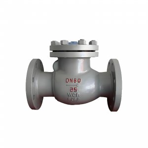 DN50 PN25 介質(zhì)：甲胺，溫度：80℃止回閥