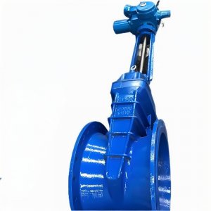 上海湖泉dn350溝槽電動(dòng)明桿閘閥生產(chǎn)廠家