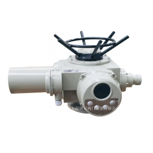 上海閥門電動(dòng)裝置物聯(lián)網(wǎng)z45-24智能型