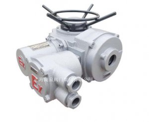 物聯(lián)網(wǎng)ZB90-24(380)推力型閥門電動裝置